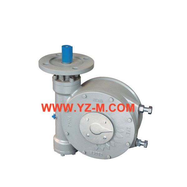 閥門執(zhí)行器 閥門執(zhí)行器
